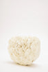 Coco Beaded Mini – Ivory